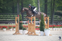 Vente de cheval : Kastellio d'alphi